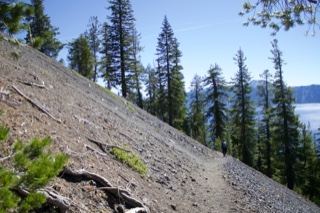 Steep Scree Slope with Pine Trees