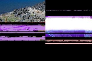 Corrupted Rocky Shore Glitch Image