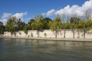 Riverbank with Trees and Stone Wall
