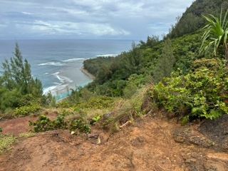 Coastal Cliff Overlooking Ocean