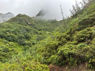 Misty Lush Mountain Valley