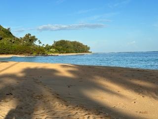 Sunlit Tropical Beach with Ocean View