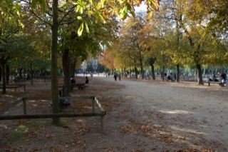 Autumn Park Avenue with Fallen Leaves
