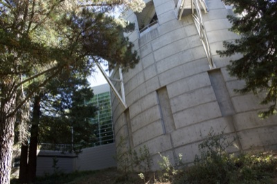 Curved Concrete Building Among Trees