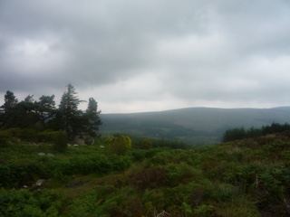Overcast Moorland Hillside View
