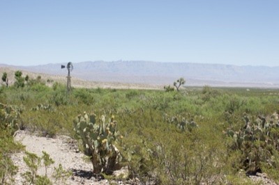 Desert landscape with cactus and windmill