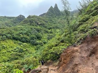 Lush Mountain Valley Hiking Trail