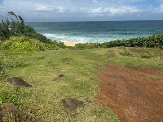 Coastal Grassy Overlook Ocean View