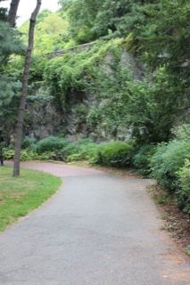 Park Path Through Lush Greenery