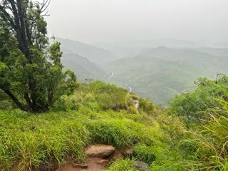Misty Mountain Grassland Overlook