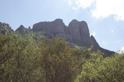 Rocky Mountain Peaks Above Green Forest