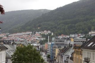 Bergen cityscape with forested hill