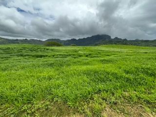 Lush Green Field Under Cloudy Sky