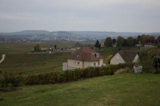 Rural countryside with farmhouses