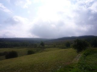 Rolling Grassy Hills Under Cloudy Sky