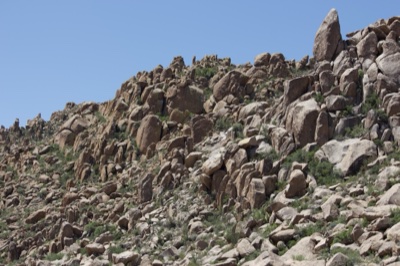Rugged Rocky Mountain Ridge Under Clear Sky