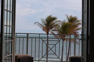 Ocean View from Balcony with Palms