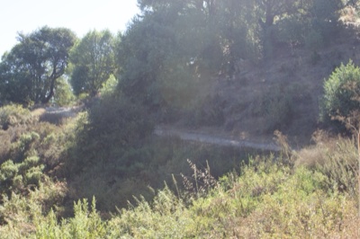 Hillside Trail Through Wooded Slope