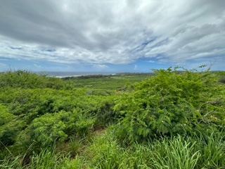 Lush Green Coastal Vista Under Clouds