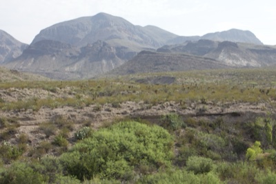 Desert Mountains and Scrubland View