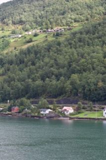Forested hillside over fjord shoreline