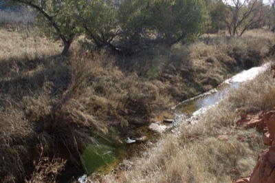 Dry Creek in Arid Grassland