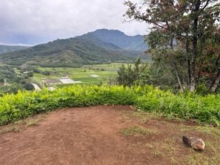 Mountain Valley Overlook Tropical Landscape
