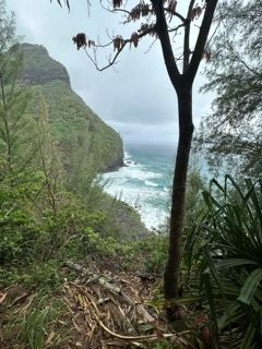 Misty Coastal Cliff Overlooking Ocean