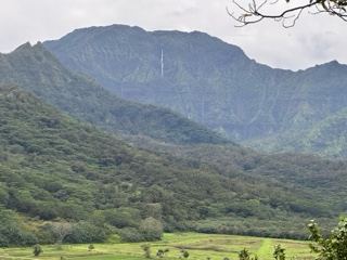 Lush Mountain Valley With Waterfall