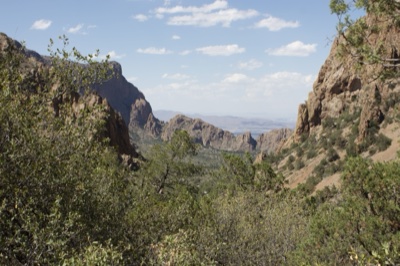 Desert Mountains and Green Foliage View