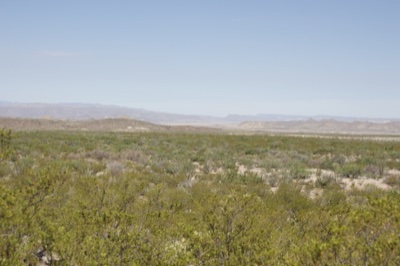 Arid Desert Scrubland Under Clear Sky