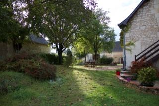 Sunlit Rural Garden Courtyard