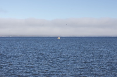 Distant Buoy on Calm Sea Under Fog