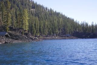 Forested Lake Shore Mountain View