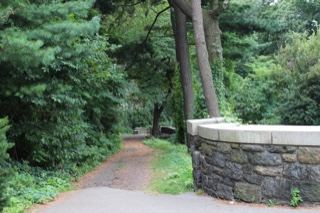 Wooded Park Path Beside Stone Wall