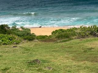 Coastal Beach Overlooking Ocean Waves