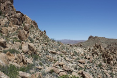 Arid Rocky Desert Canyon Landscape