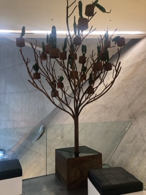 Sculptural Tree with Cactus Pots Indoor