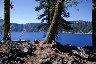 Crater Lake View from Forested Shore