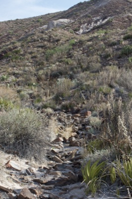 Arid Rocky Hillside Trail with Shrubs