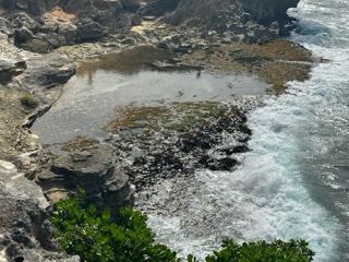 Rocky Coastal Tidal Pool With Waves