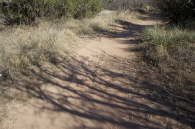 Sunlit Desert Trail With Shadows