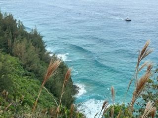 Coastal Cliff Overlooking Ocean