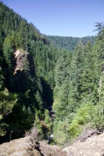 Forest Canyon Overlook In Pacific Northwest