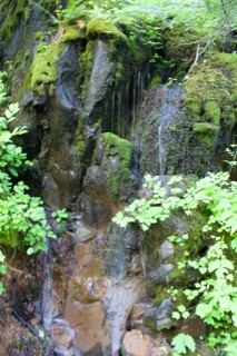Mossy Rock Face With Small Waterfall