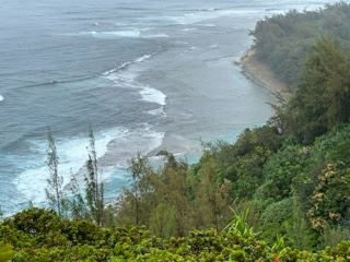 Coastal Cliff Overlooking Ocean Waves