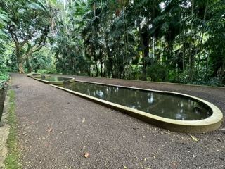Tropical Garden Reflecting Pool Path