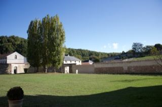 Sunlit Courtyard with Poplar Trees