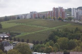Vineyard Terraces Overlooking Apartment Blocks