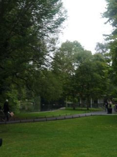 Park Pathway Under Overcast Sky
